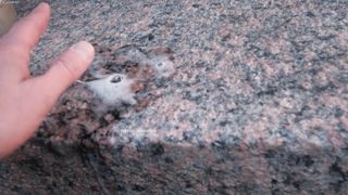 Princess Spitting fetish