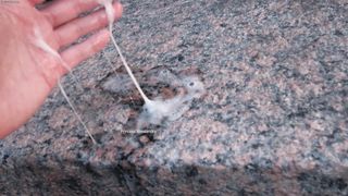 Princess Spitting fetish