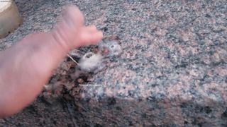 Princess Spitting fetish