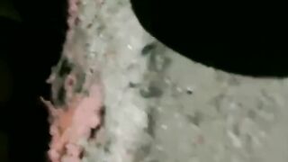 Chinese mistress feeding her dog in public