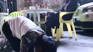 Chinese mistress feeding her dog in public