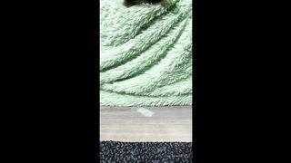 Place you face here I'll spit on it Lick my feet worm