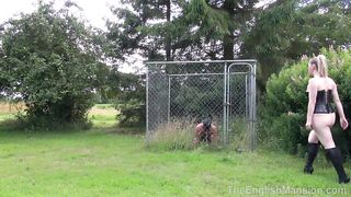 TheEnglishMansion - Pit Pony