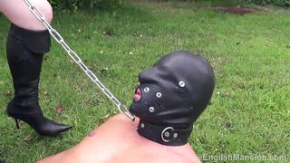 TheEnglishMansion - Pit Pony