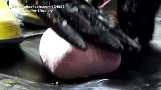 Extreme Ball Stomping and Trampling with DOGA Rubber boots on cock board