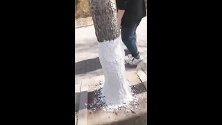 China Femdom - Live - 3072