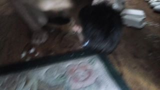 Chinese Femdom - 3082019 - 116