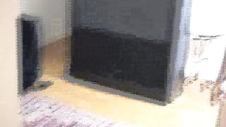 AssCleaners - ac0182