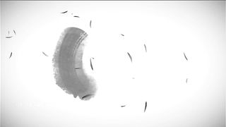 Chinese Femdom - 392019 - 343