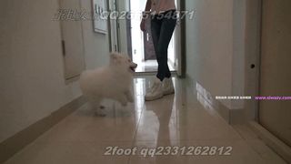 Chinese Femdom - 492019 - 124