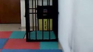 Chinese Femdom - 492019 - 367