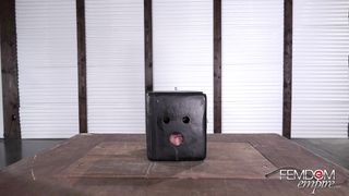 FemdomEmpire - Marley Brinx - Slave in a Box