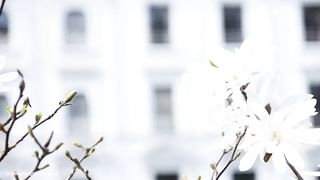 BallbustingChicks - Domina Party