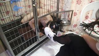 Chinese Femdom - 2592019 - 213