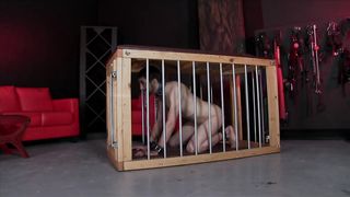 Alura Jensen, Gigi Allens - Amazon Ass Busters