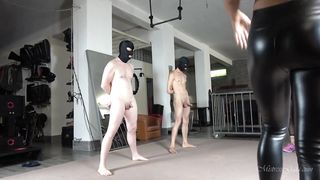 Gaia - Nutcracker Trainers