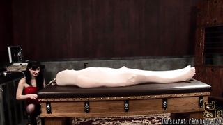 Mina Meow - Encasement