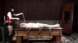 Mina Meow - Encasement