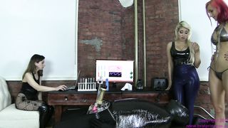 Tens Unit Tested on Cum Recycling Cow