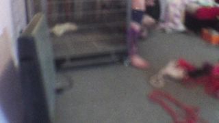 Chinese Femdom Live - 9122019 - 12