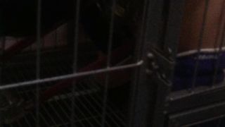 Chinese Femdom Live - 9122019 - 49