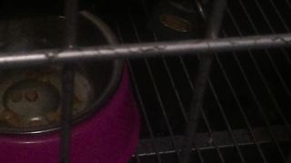 Chinese Femdom Live - 9122019 - 49