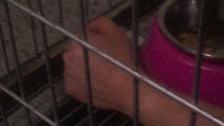 Chinese Femdom Live - 9122019 - 49