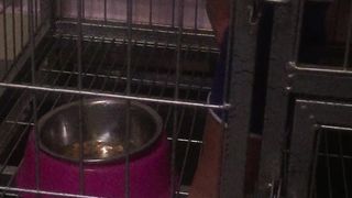 Chinese Femdom Live - 9122019 - 49