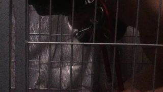 Chinese Femdom Live - 9122019 - 49