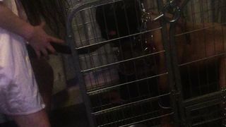 Chinese Femdom Live - 9122019 - 49