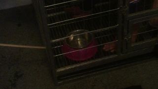 Chinese Femdom Live - 9122019 - 49