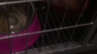 Chinese Femdom Live - 9122019 - 49