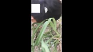 Chinese Femdom Live - 9122019 - 100