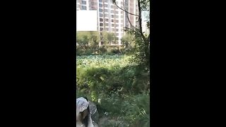 Chinese Femdom Live - 9122019 - 100