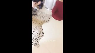 Chinese Femdom Live - 10122019 - 8