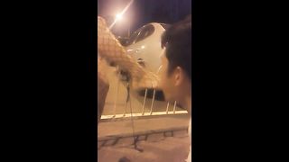 Chinese Femdom Live - 10122019 - 38