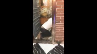 Chinese Femdom Live - 12122019 - 13