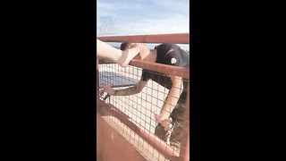 Chinese Femdom Live - 12122019 - 15