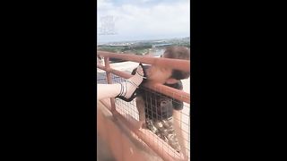 Chinese Femdom Live - 12122019 - 15