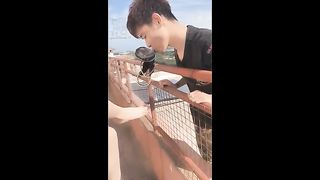 Chinese Femdom Live - 12122019 - 15