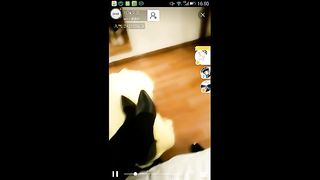 Chinese Femdom Live - 12122019 - 47