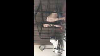 Chinese Femdom Live - 12122019 - 129