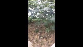 Chinese Femdom Live - 12122019 - 174