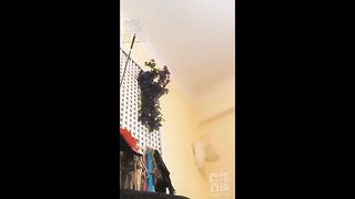 Chinese Femdom Live - 12122019 - 194