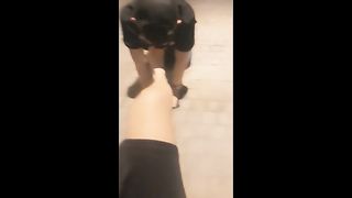 Chinese Femdom Live - 13122019 - 26