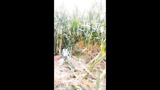 Chinese Femdom Live - 13122019 - 70