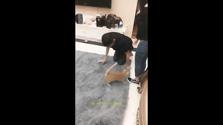 Chinese Femdom Live - 13122019 - 119