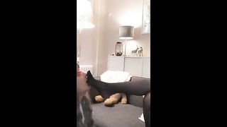 Chinese Femdom Live - 13122019 - 126