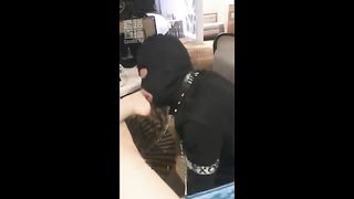 Chinese Femdom Live - 13122019 - 127