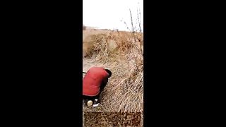 Chinese Femdom Live - 13122019 - 221